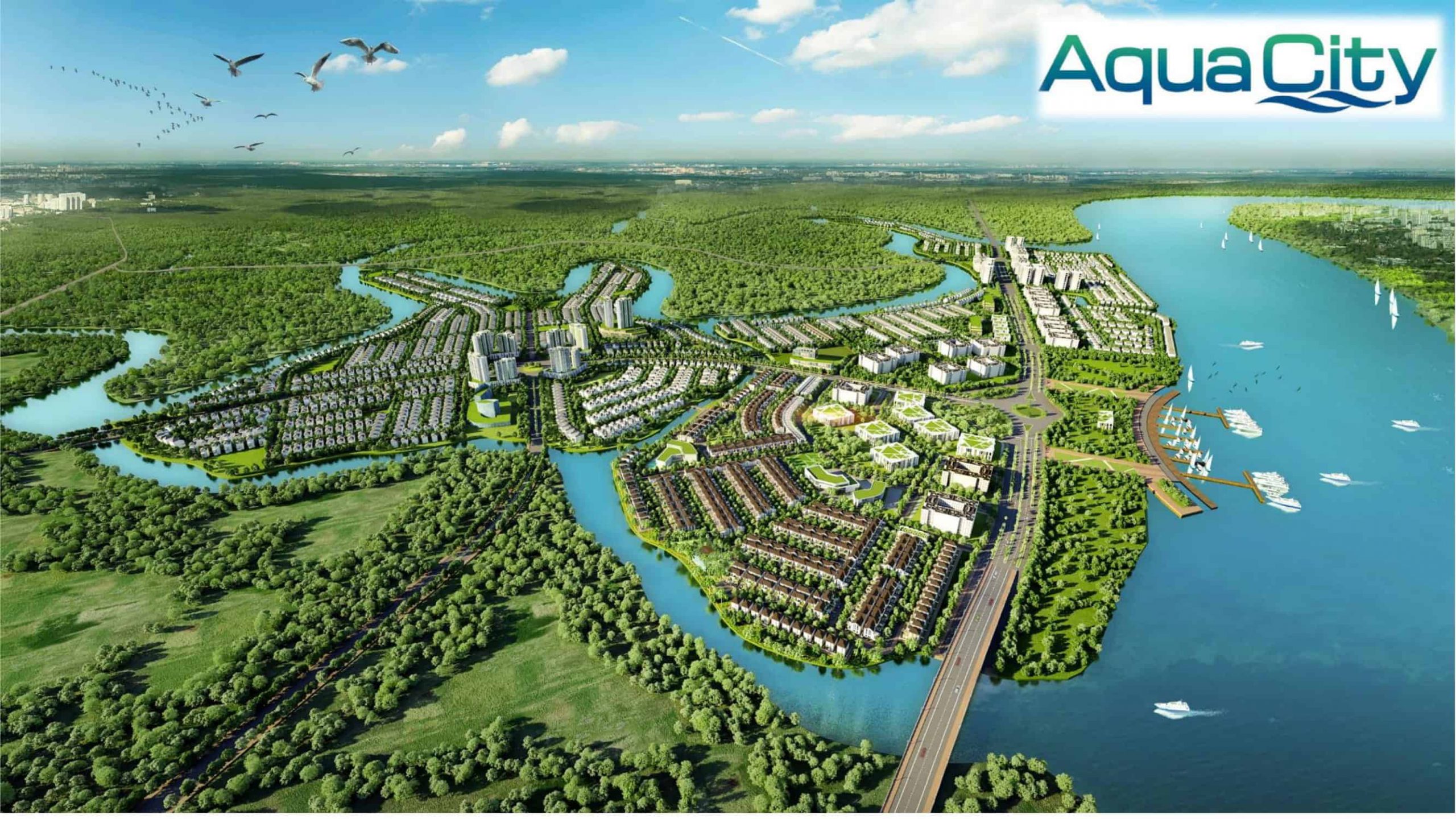 Aquacity novaland mặt bằng tổng thể