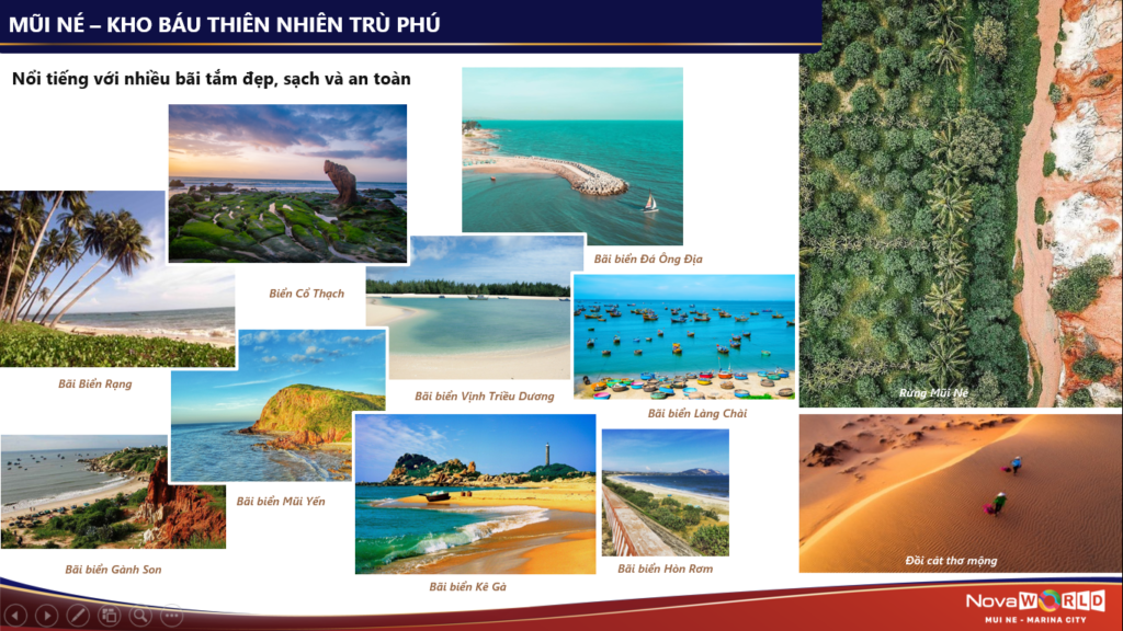 tiềm năng 2